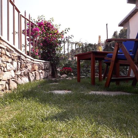 アラッシオ Il Porto Di Benny Bed & Breakfast エクステリア 写真